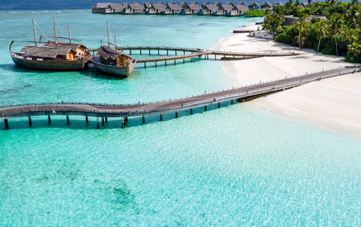 IWT Profile Photos-20