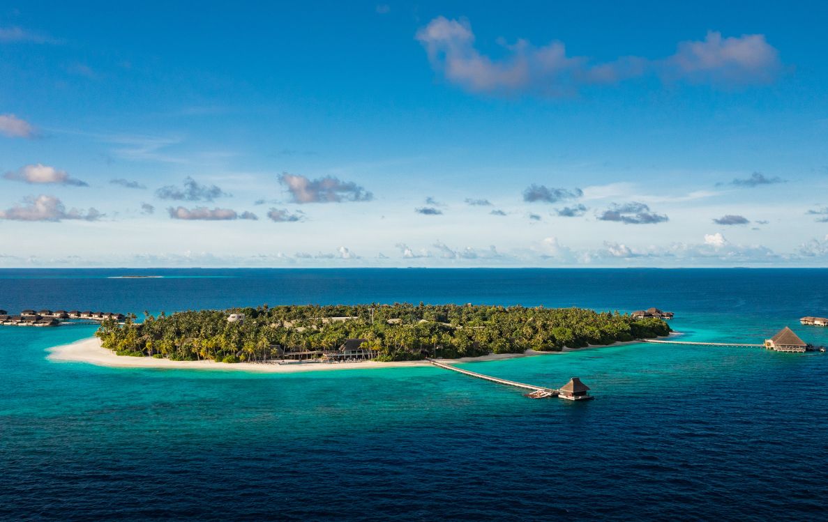 IWT Profile Photos (28)